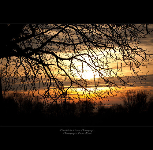 sunset sun tree nature sunshine photoshop canon germany eos yahoo google flickr raw image © hannover adobe today f28 sunbeams lightroom 70200mm copyrighted maschsee 2011 theearth theatmosphere pixelwork 25feb photographyrocks 500px thelightpainterssociety “flickraward” oliverhoell theacademytreealley copyright©2011bypixelwork 25022011 allphotoscopyrighted