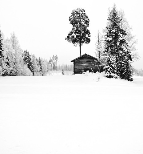 trees winter snow building tree barn forest suomi finland landscape countryside farmland talvi lappeenranta