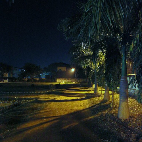 trees night canon landscape photography lights shadows digitalphotography 500d iitkgp 2011 mshall kgp kharagpur