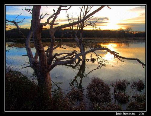 park parque sunset naturaleza lake nature atardecer dusk dam down balsa alava vitoria gasteiz creeck salburua