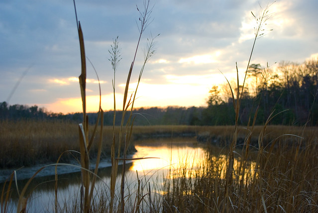 A scenic sunset from the Taskinas Creek at York River State Park, Virginia