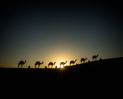 1dx alexstoen alexstoenphotography camels canon canoneos1dx ef1635f28liiusm geotagged india samsanddunes sunrise thardesert travel vacation