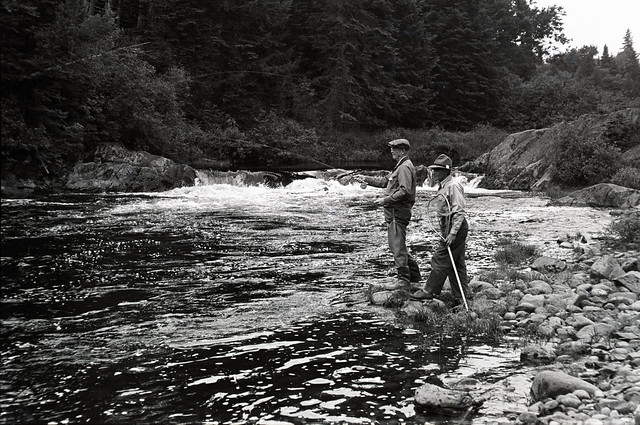 The Yallerhammer, an Appalachian Classic - Orvis News