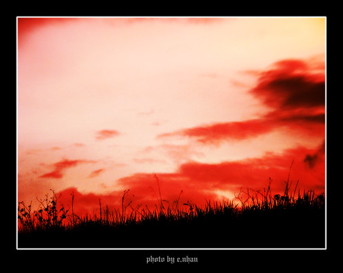life light sunset red black art nature closeup landscape colorful colours dof arts backlighting enhan