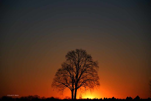 color tree horizontal sunrise landscape photography nikon pennsylvania horizon nobody copyspace chestercounty