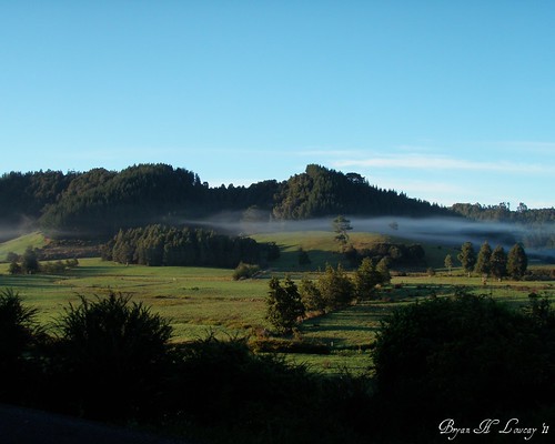morning travel newzealand mist green weather rural sunrise scenic picnik
