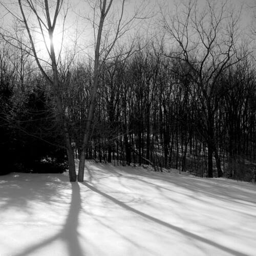 trees sunset blackandwhite sun snow cold shadows snowy blizzard