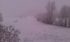 Matin sous la neige - Photo of Artigat