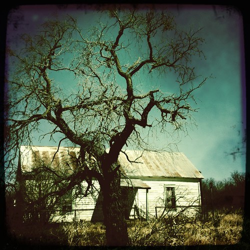 tree rural skies texas abandonment hipstamatic