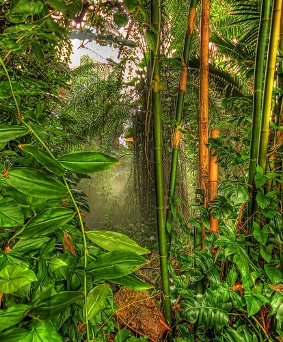 arizona canon oracle rainforest sigma 1020mm hdr biosphere2 universityofarizona topaz photomatix t2i