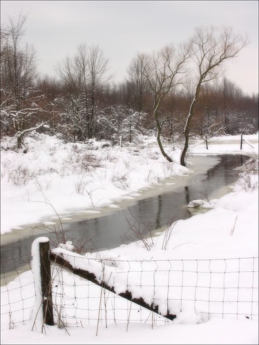 winter ohio snow ice fence stream fencepost saybrook rurallandscape ashtabulacounty