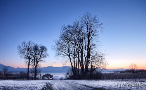 blue trees winter sunset sky house lake mountains alps cold tree ice water silhouette night sunrise landscape dawn evening boat early frozen dusk peaceful calm late cloudless icy barracks chiemsee