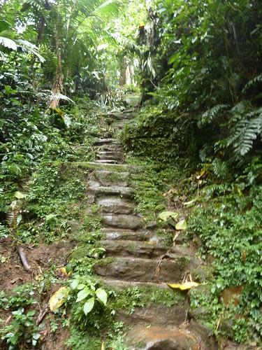trek geotagged rainforest ruins colombia hike adventure jungle ancientcivilization thelostcity ciudadperdida migpascual geo:lat=11037997 geo:lon=73925192