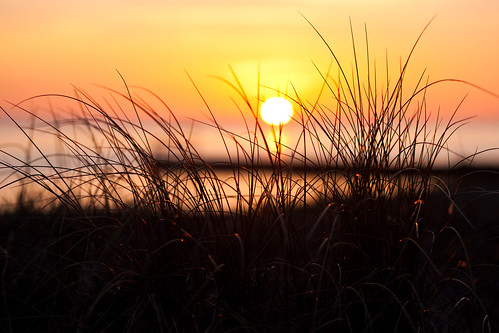 sunset sea sky orange beach grass skåne sweden f28 skåne helsingborg 2011 fav10 ef85mmf18usm canoneos5dmarkii vikingstrand ¹⁄₅₀₀sek