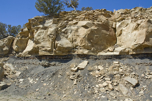 dinosaurs extinction asteroid tertiary ktboundary kpboundary geologypaleontologychicxulubcratercretaceouspaleogene