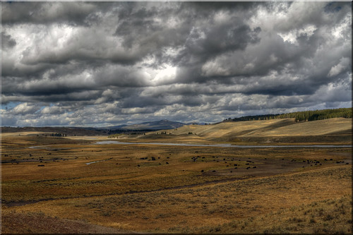 park storm clouds river buffalo day stormy national pasture valley 100views yellowstone hayden wyoming bison grazing ynp wy tonemapped 6217 regionwide