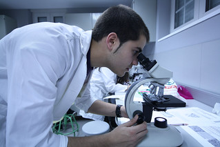 Photo:Laboratories By:SLU Madrid Campus