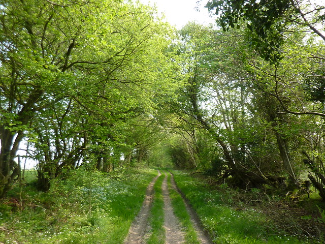 Old drovers road at Pen-y-ffridd