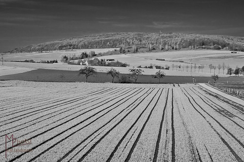 blackandwhite bw germany landscape deutschland hessen pentax sw landschaft schwarzweis wethen k20d pentaxk20d mlphoto ©mlphoto markuslandsmannzenfoliocom