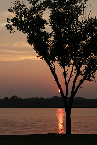 sunset reflection tree water silhouette canon evening dusk northcarolina newbern trentriver t1i