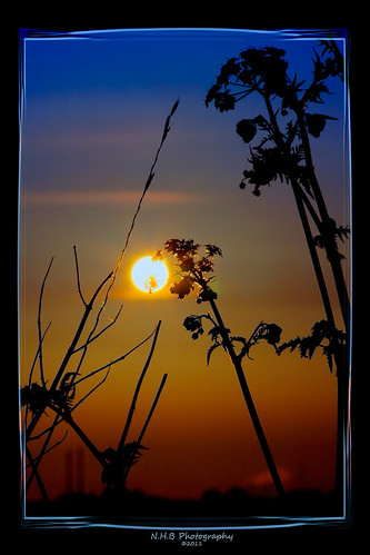 uk blue red england bw orange plants nature silhouette photoshop sunrise canon blackwhite weeds yorkshire explore usm ef westyorkshire pontefract 70210 nhb photomatix cs5 40d canonef70210mmf3545usm worldhdr nhbphotography 130mm208mmon35mm