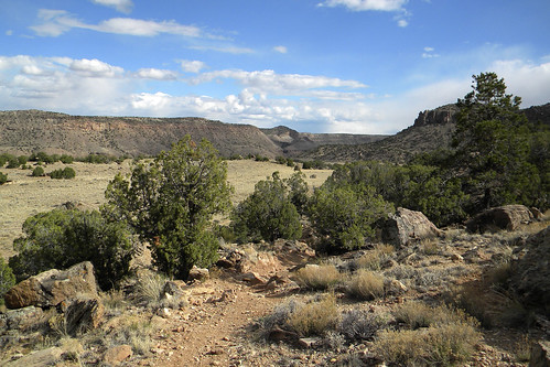 colorado wilderness blm westerncolorado escalantecanyon dominguezescalantenationalconservationarea dominguezcanyonwilderness dominguezescalantenca mccartybench mccartytrail