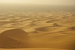 Dunas del desierto