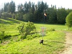 Astoria Golf Resort - Championship Course