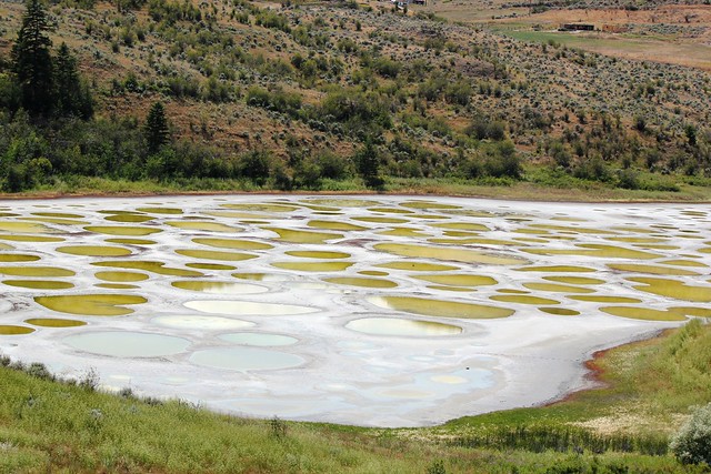 Spotted Lake - Unusual, But Natural Phenomenon