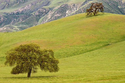 mountains green spring meadows pasture layers oaks oaktrees centralcalifornia johnsteinbeck warmbreeze nikond7000 paicinesca nikon70300mmf456afsvr gabilanmountain