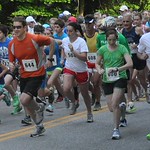 2011 Race for the Green