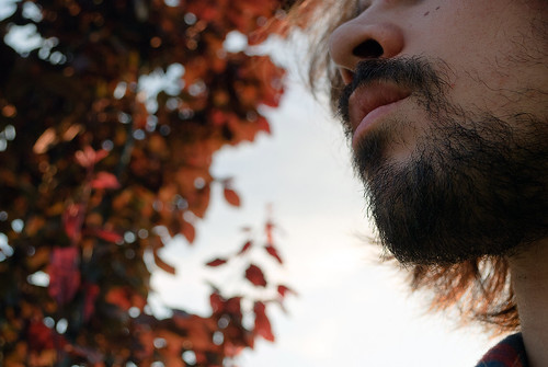 boy sunset red sky hairy selfportrait man tree colors face beard warm young leafs tones