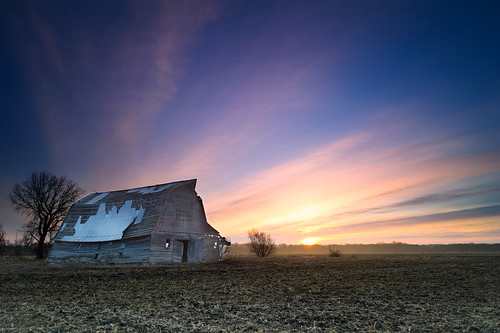 old trees sky field barn rural sunrise landscape nikon decay manitoba stadolphe d3s 24mmf35pce
