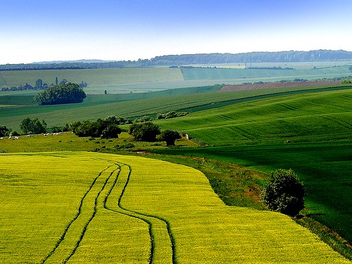 france green yellow jaune way landscape countryside farming champs tracks traces meeting vert rape fields paysage lorraine campagne chemin rencontre moselle colza empreintes courcelleschaussy
