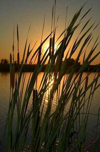 sunset oklahoma golden pond cattail bigcabin d7000