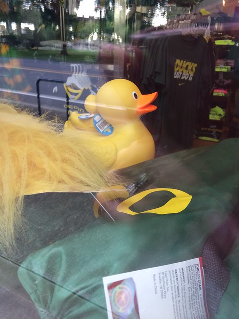 Duck Store window