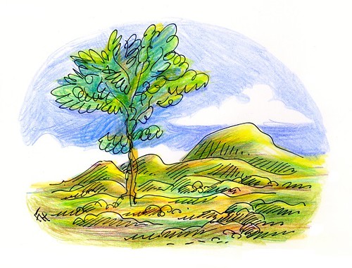 landscape with solitary tree
