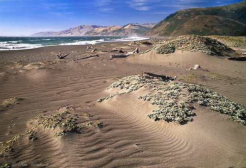 ocean california beach sand waves dunes