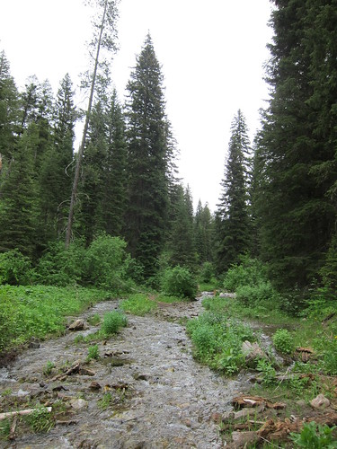 stream, creek, water, mountains, tetons IMG_6870