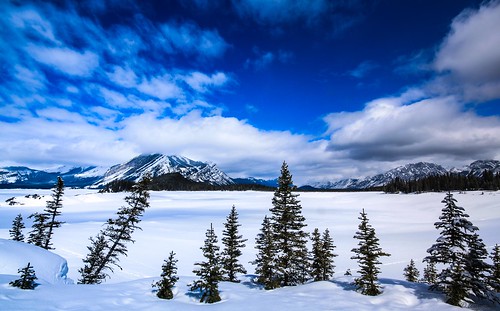 winter friends mountain snow landscape with bluesky alberta snowshoeing dailyphoto peterlougheedprovincialpark 365photo