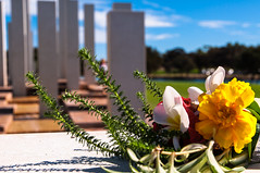 Flowers at the War Memorial Mandurah