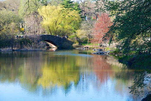 nyc bridge usa newyork spring pond outdoor centralpark
