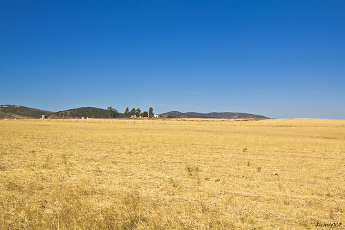 badajoz feria tierradebarros campo field country countryside pastureland meadow sol sun color azul blue cielo sky