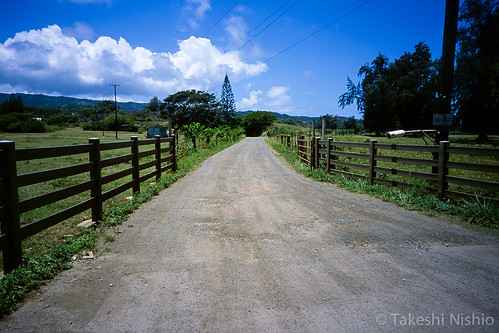 way to the ranch