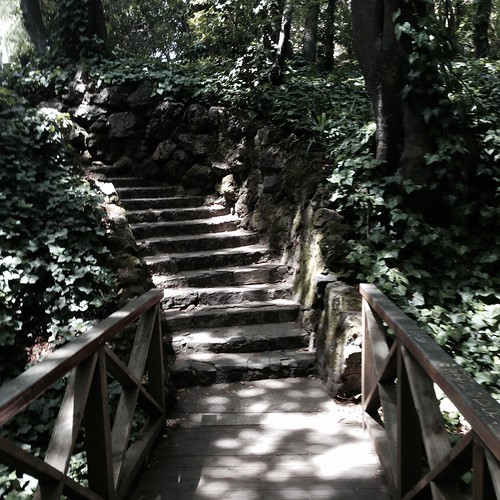 stairs and bridge