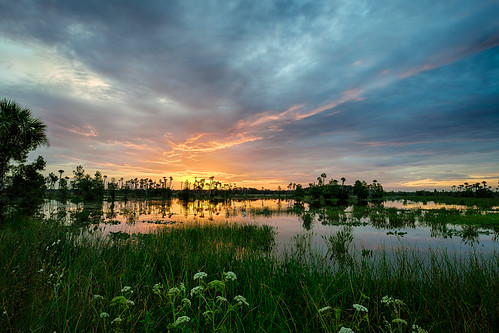 sky usa cloud reflection water sunrise landscape dawn orlando florida cloudy swamp marsh centralflorida orlandowetlandspark edrosack