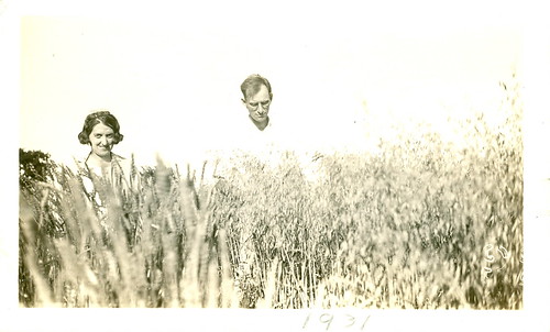 field 1931 liberty farm missouri