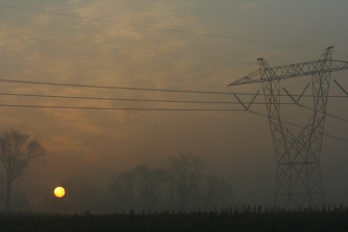 trees sun mist electric sunrise shine pylon