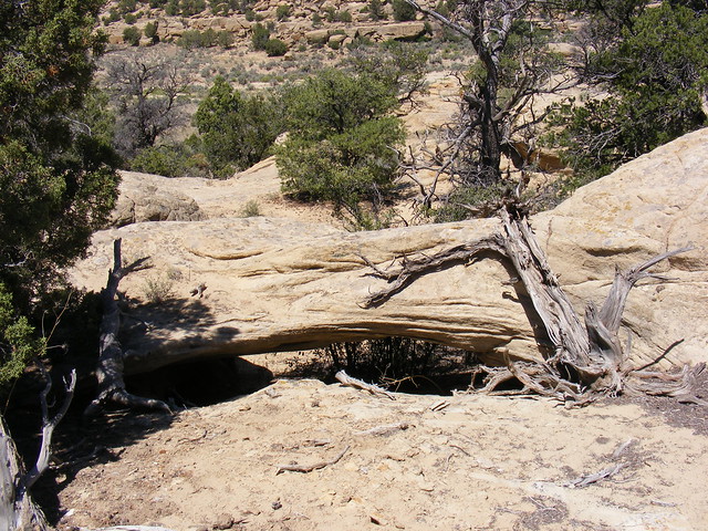 New Mexico Natural Arch NM-211