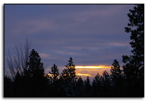 trees winter snow colors silhouette clouds sunrise washington spokane